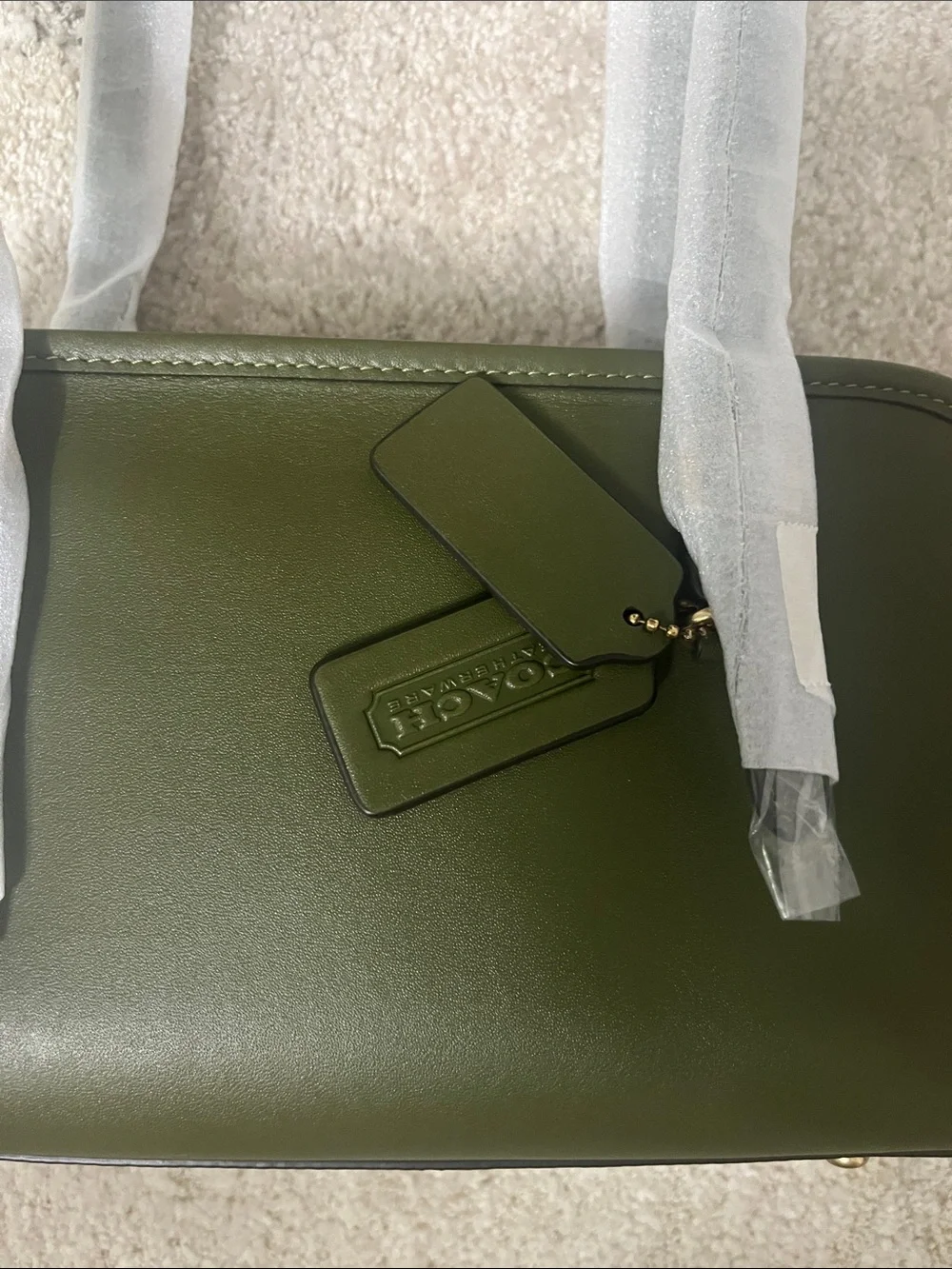 COACH Swing Zip Small in Olive